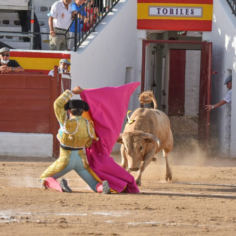 11 Alvaro Alarcon Villarejo Portagayola