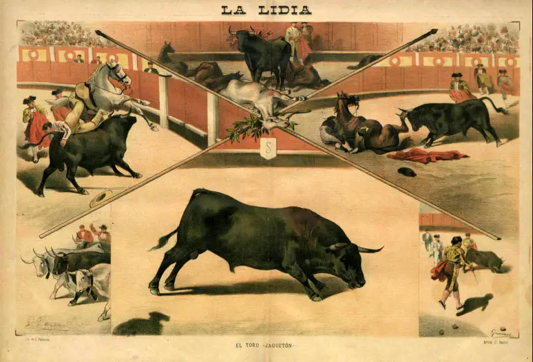 Sale en Madrid el toro Jaquetón