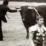 Miguelín de espontáneo en Las Ventas