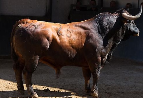 Rastreador no cierra un buen epílogo