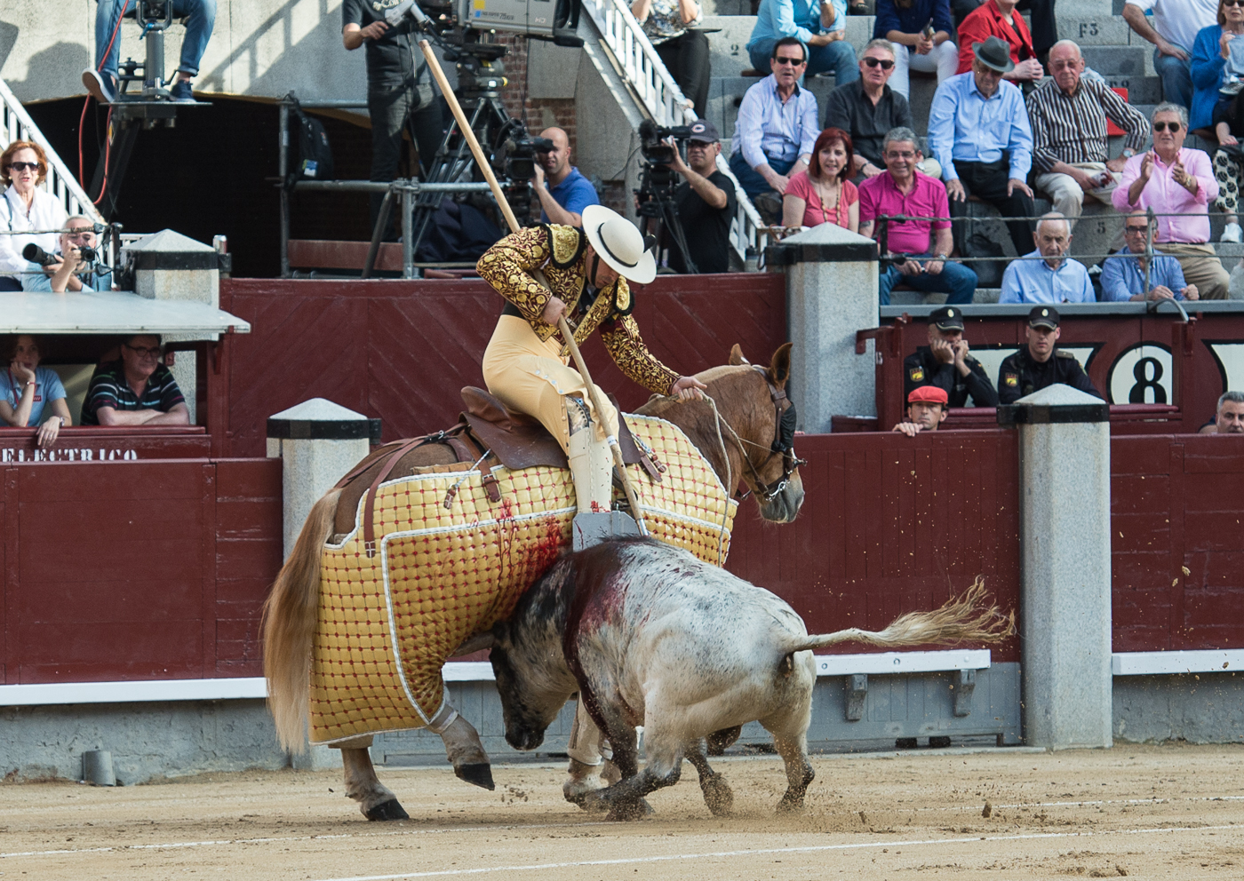 Pedro Iturralde: "Agitador vino a matarse al caballo
