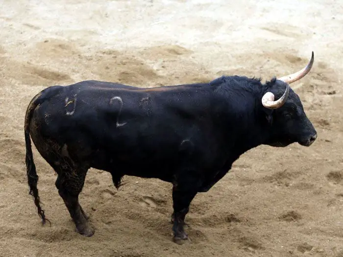 El toro del Baratillo