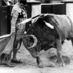 Joselito confirmaba en Madrid hoy hace 30 años