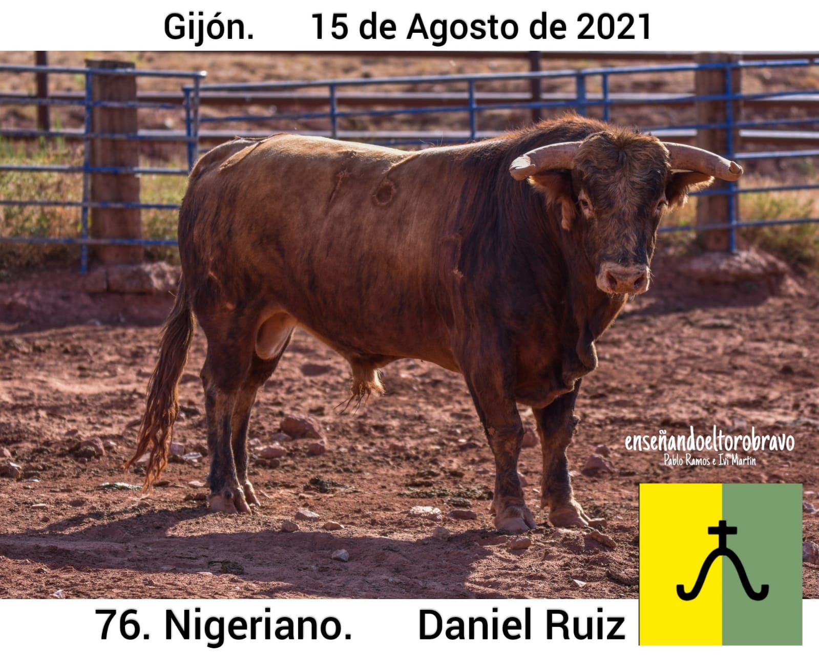 Toro Daniel Ruiz Gijon 3