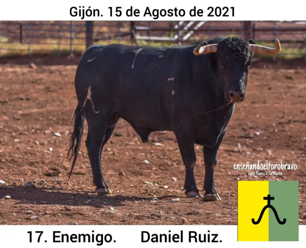 Toro Daniel Ruiz Gijon 6