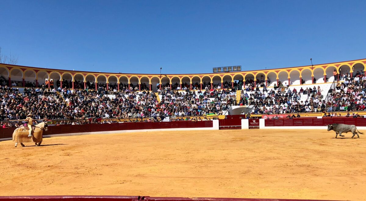 17 Tercio De Varas Olivenza Victorino