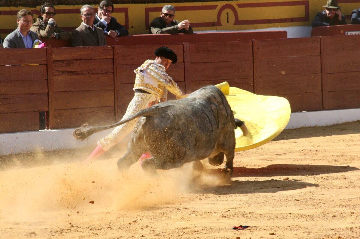 43 Ferrera Olivenza Saludo