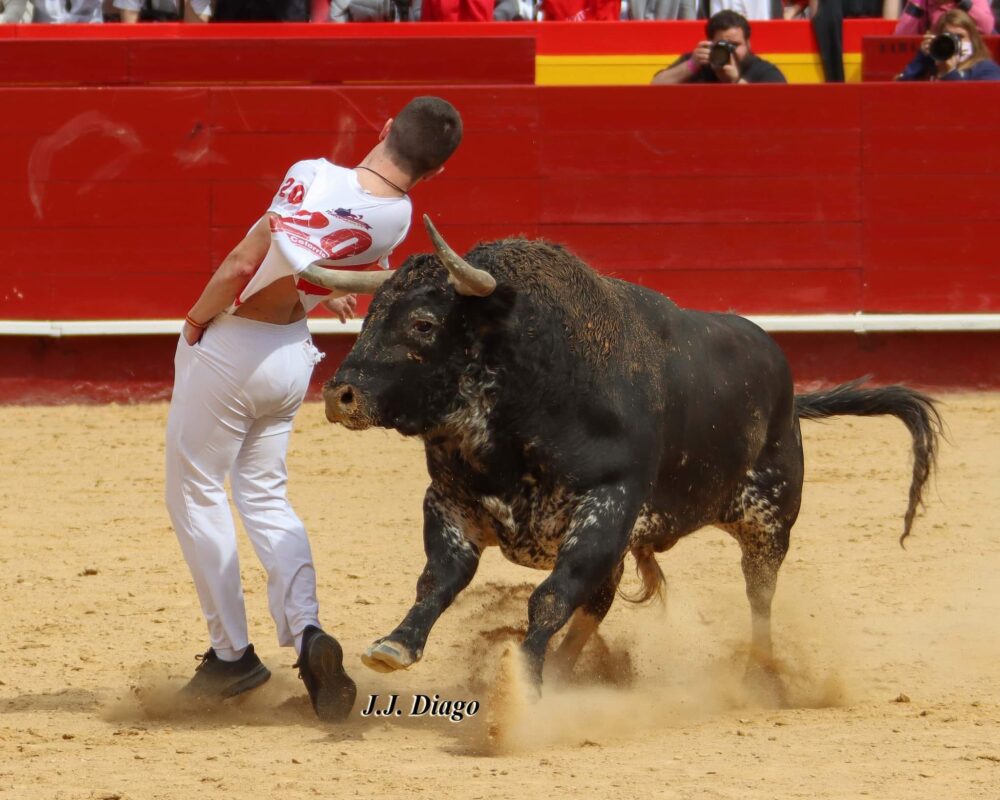 Recortador Herido 1