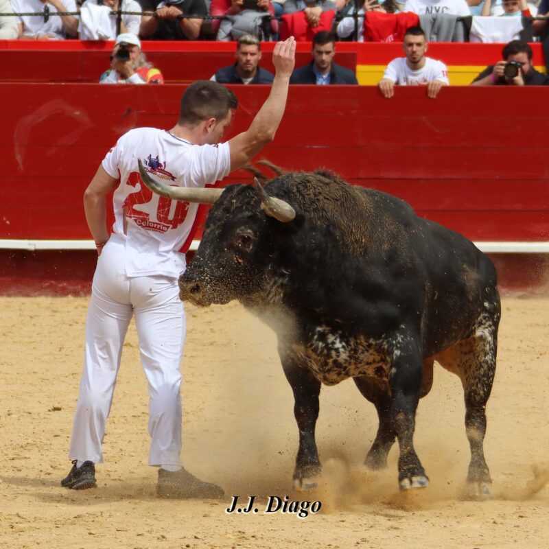 Recortador Herido 2