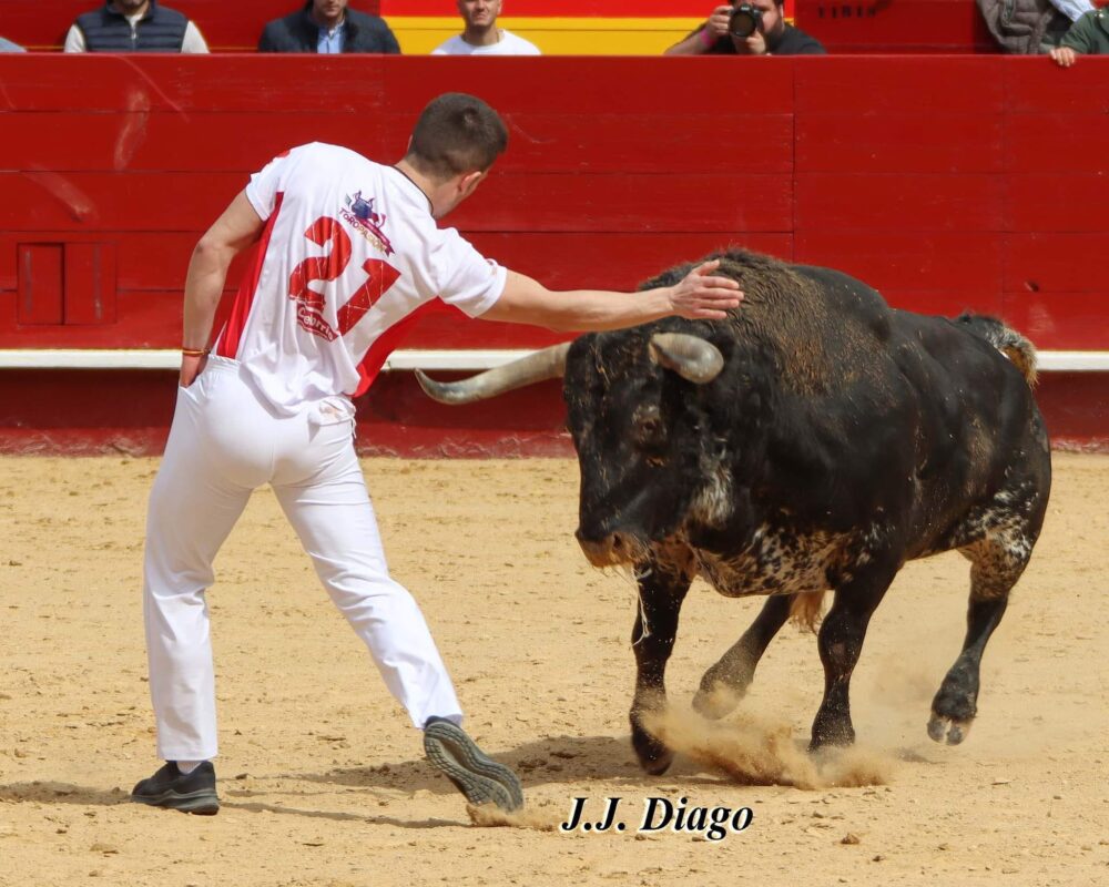 Recortador Herido 3