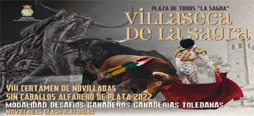 Villaseca 2022 Banner 360x165
