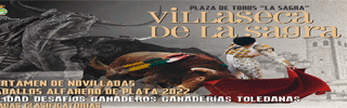 Villaseca Plata 2022 Movil 320x100