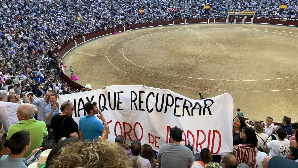 Toro Madrid