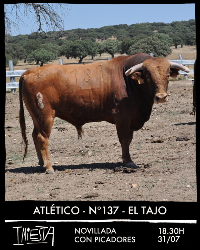 Atletico 137 1