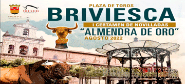 Briviesca 2022 Banner 360x165