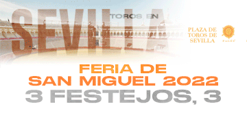 360x165 Bueno San Miguel22