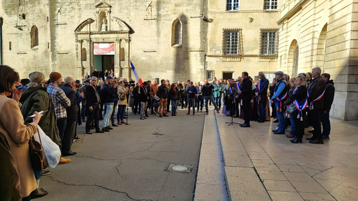 Manifestacion Arles 5