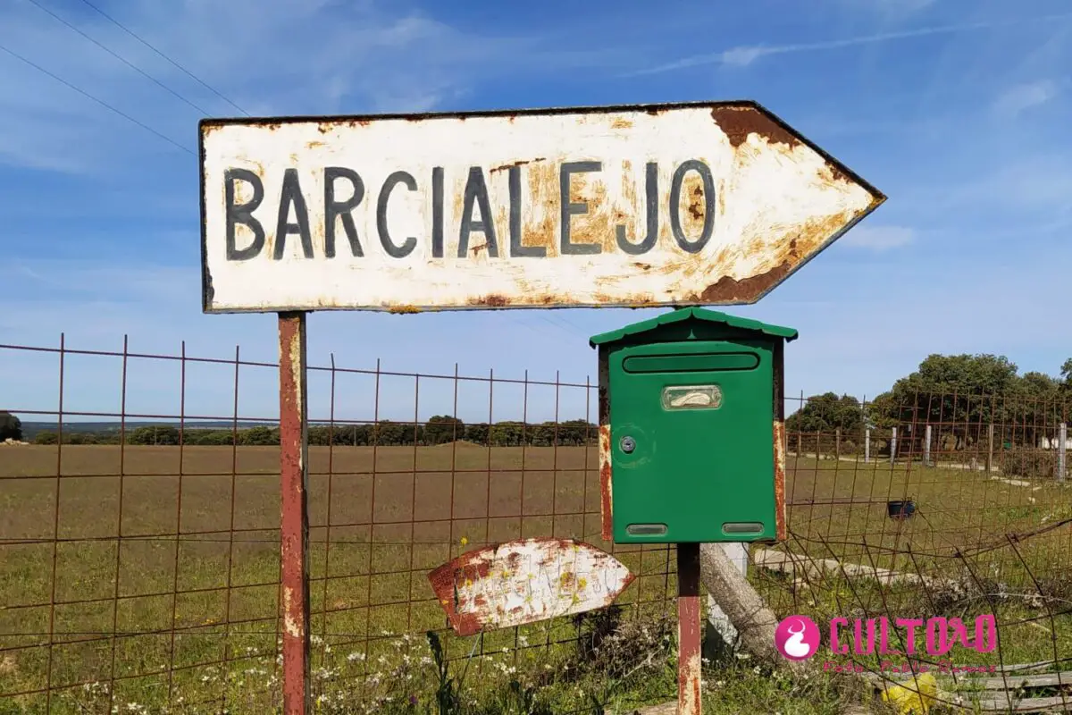 Barcial 7