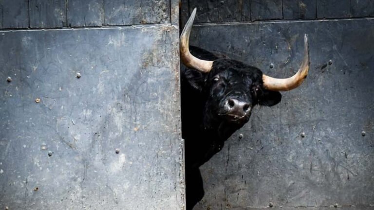 ‘Cuadris’ por televisión el sábado: la corrida que se ha cerrado y cómo verla en directo