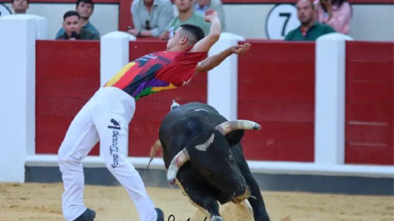 Los mejores recortadores el 9 de noviembre en Alicante con toros de Victorino Martín