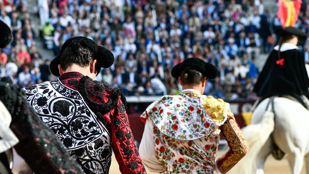 Detalle Toros