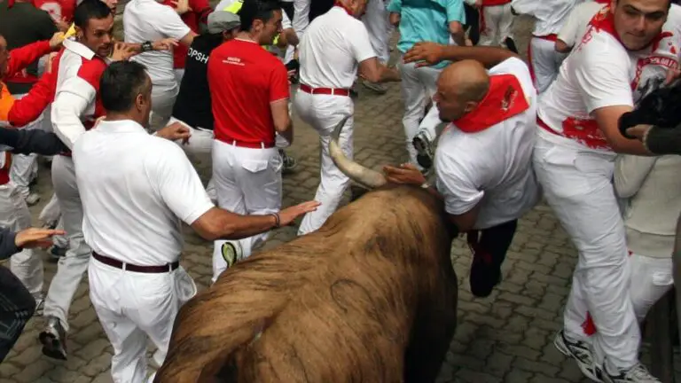 Los miles de euros que te pueden caer de multa por tocar un toro durante un encierro en San Fermín
