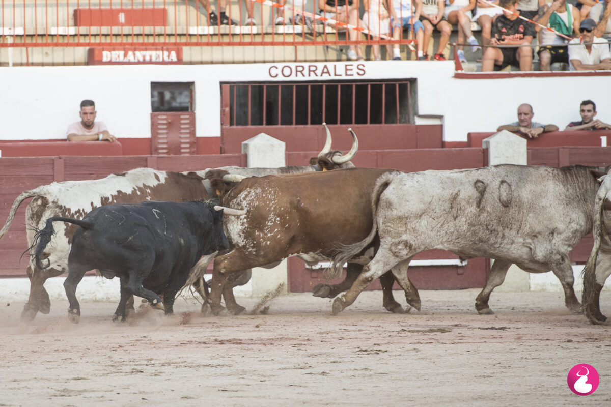 Desencajonada Colmenar 3