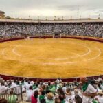 Toros Huesca