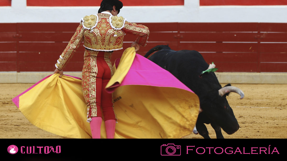 Fotogaleria Ejea De Los Caballeros 1 9 2023