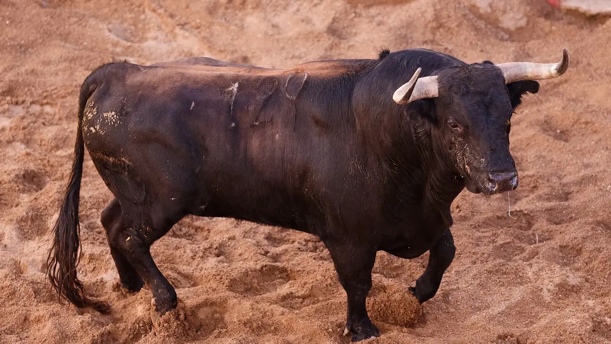 Impuesto, De Victoriano Del Río