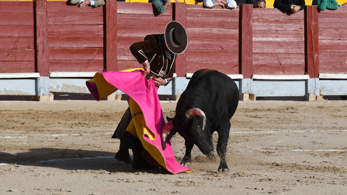 Urdiales Festival (1)