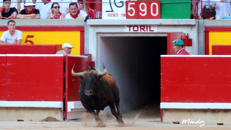 La MECA oficializa la salida de Cuvillo y la entrada de Domingo Hernández en los hierros de San Fermín 2024