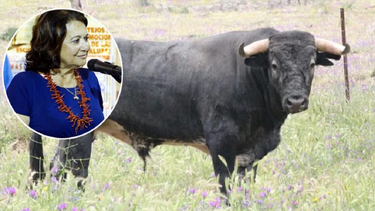Añadio