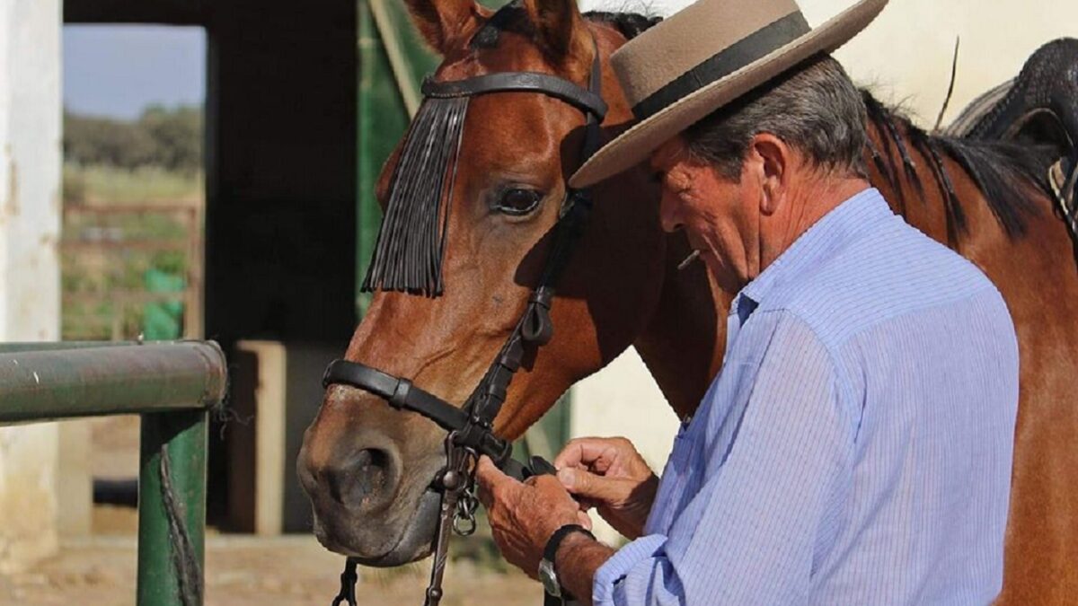 Caballo Miura