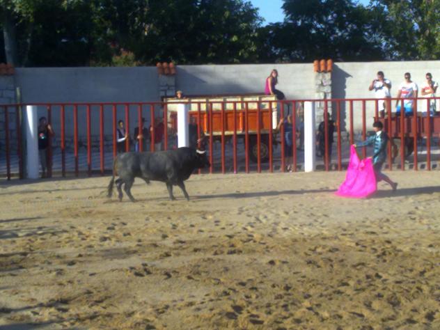 Plaza de toros de 