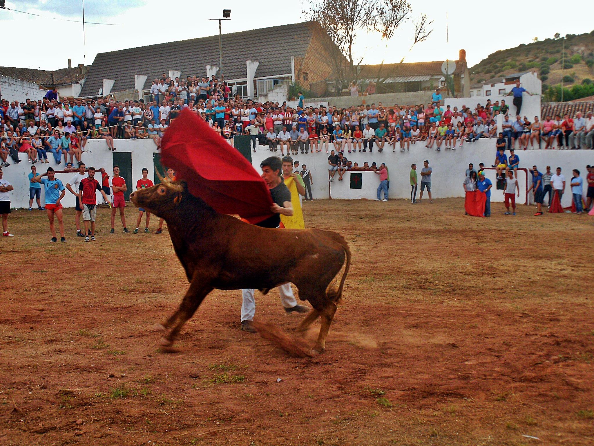 Plaza de toros de 