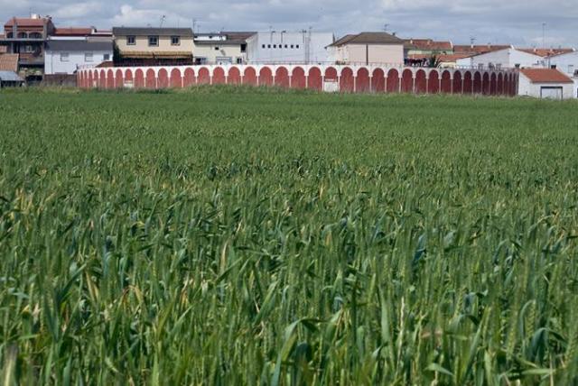 Plaza de toros de 