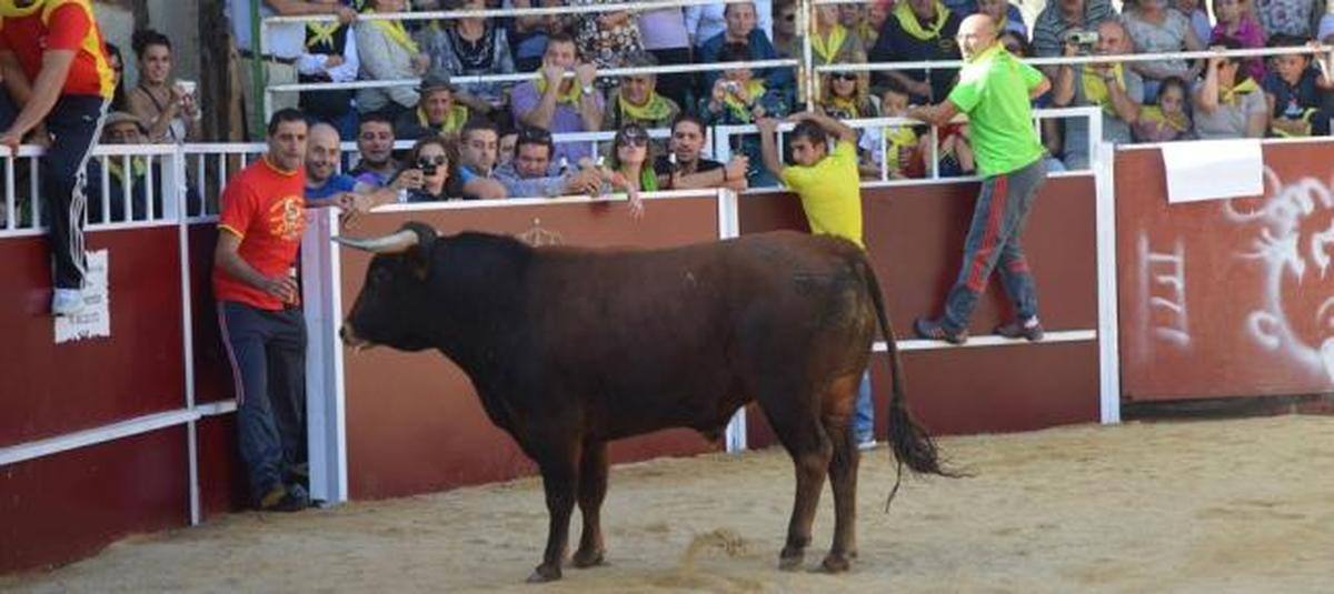 Plaza de toros de 