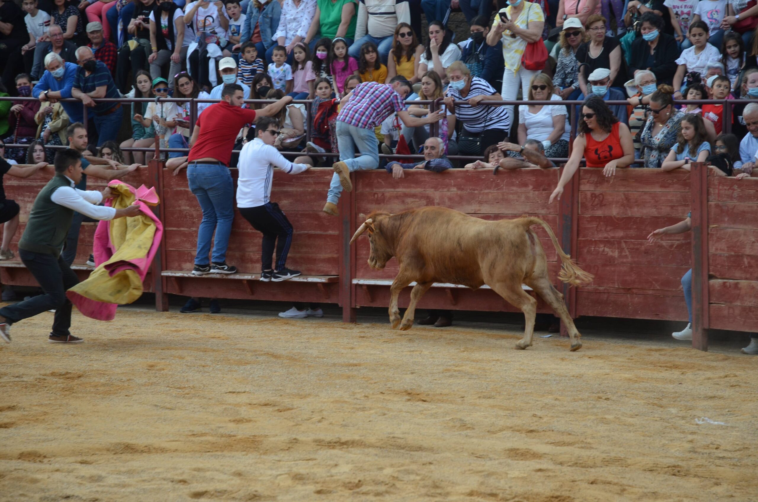 Plaza de toros de 