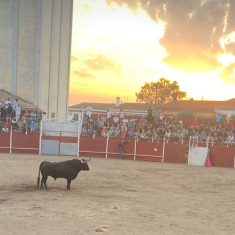 Plaza de toros de 