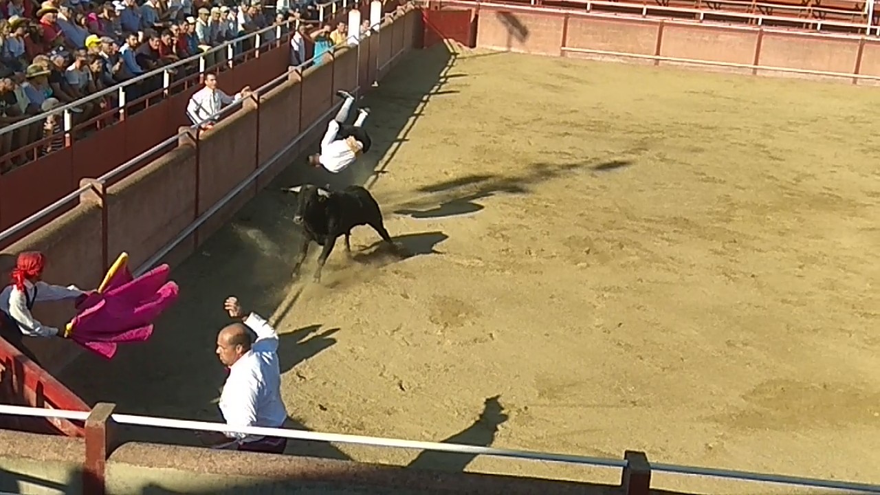 Plaza de toros de 