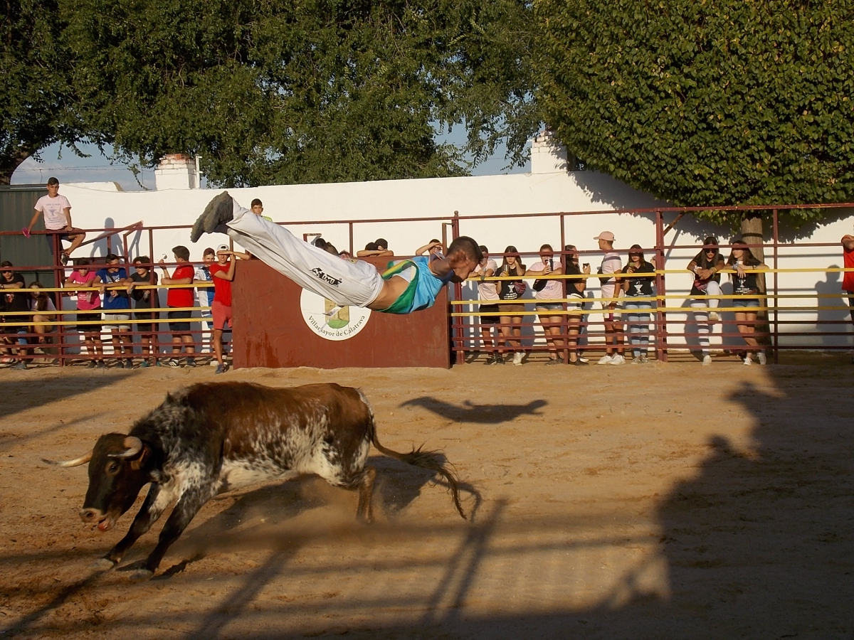 Plaza de toros de 
