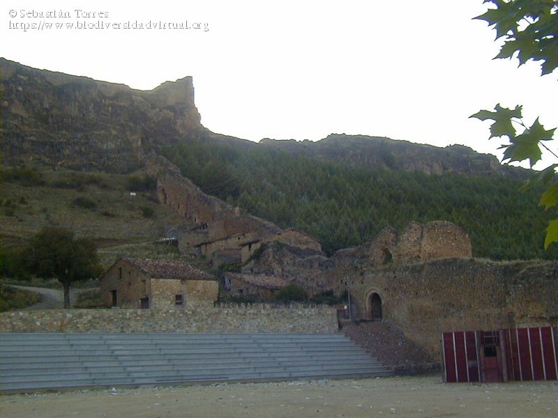 Plaza de toros de 