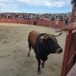 Talaván
