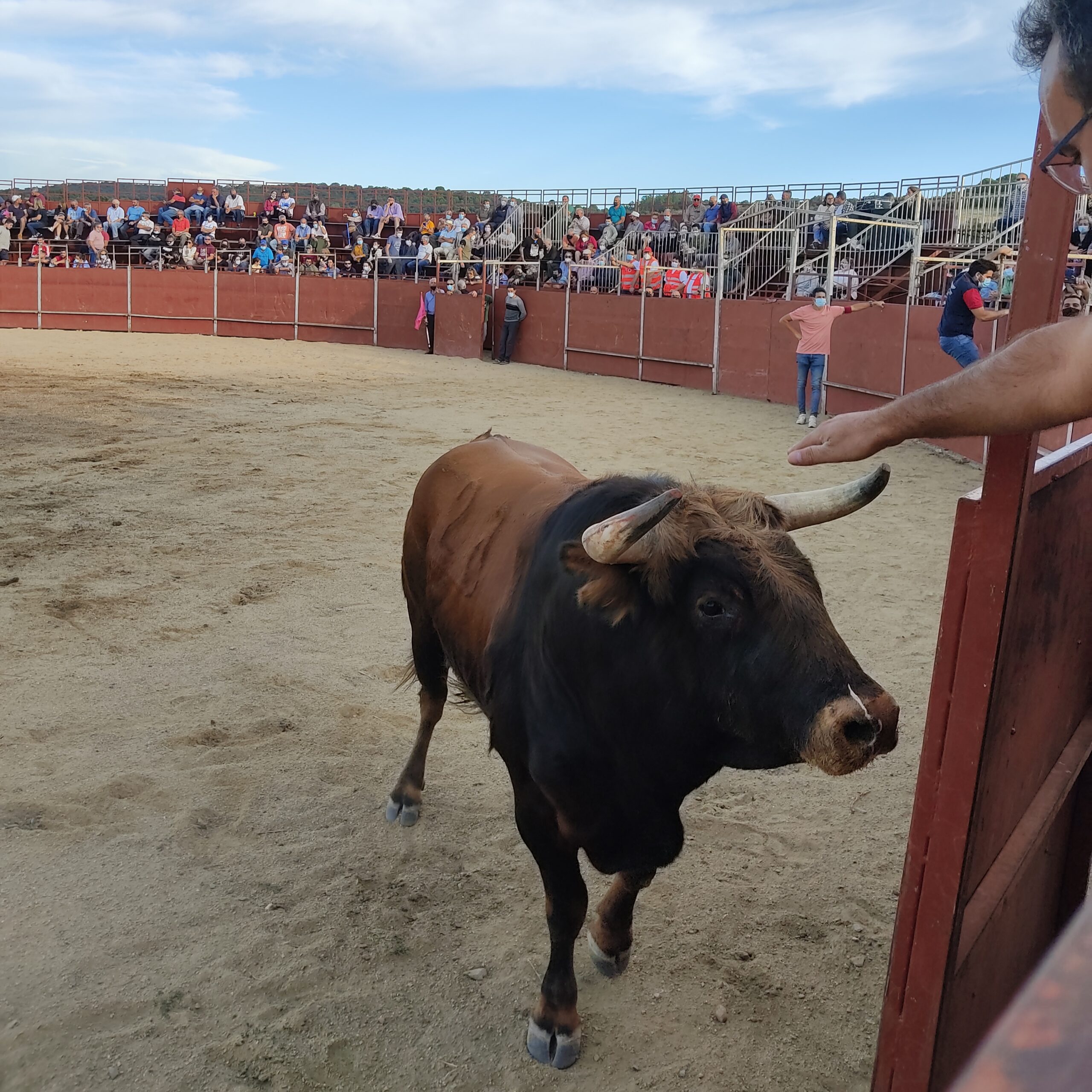 Plaza de toros de 