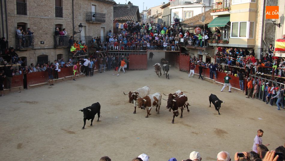 Plaza de toros de 