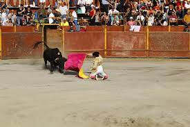 Plaza de toros de 