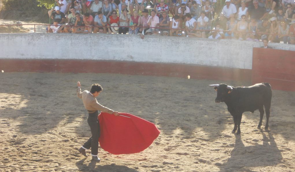 Plaza de toros de 