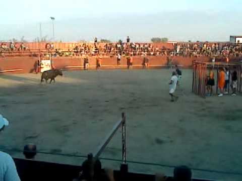 Plaza de toros de 