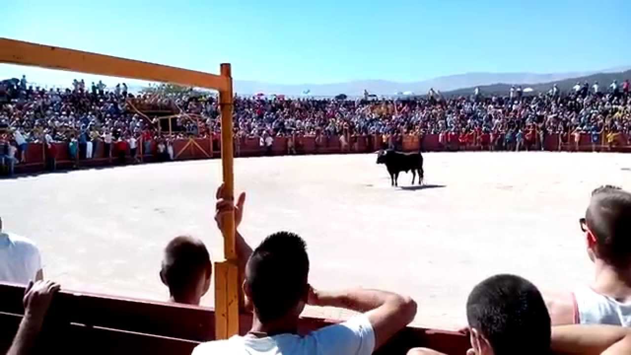 Plaza de toros de 